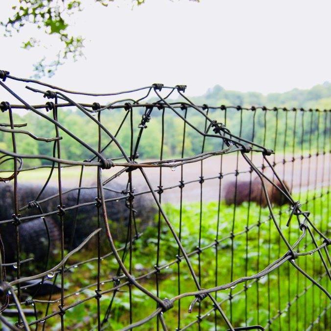wire fence scene