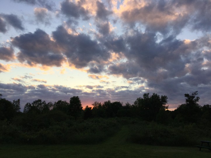Speers photo of sunset over woods and field