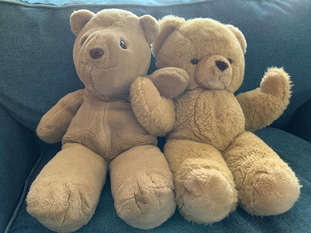photo of 2 teddy bears