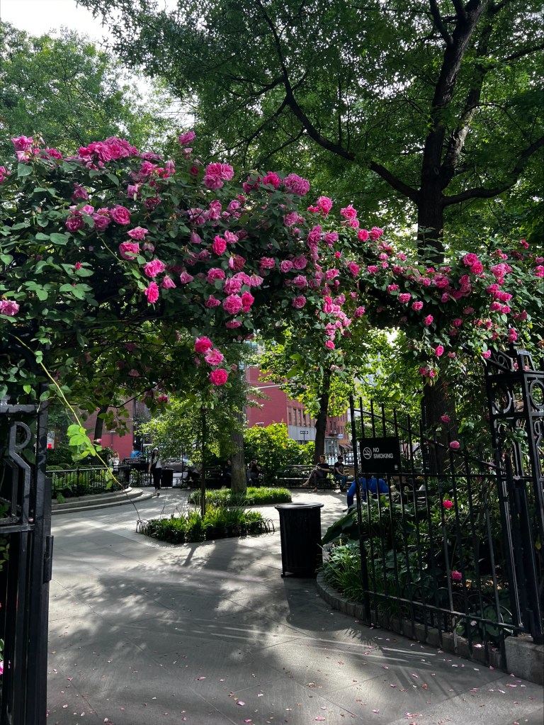 Summer in NYC - photo of rose arbor by Jada Hendy